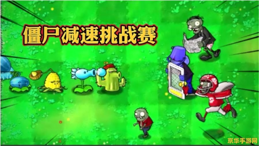 植物大战僵尸人 游戏名称：植物大战僵尸人