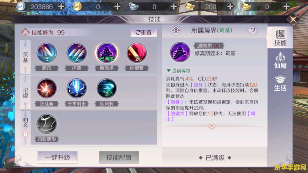 完美世界刺客技能 完美世界：刺客的秘技