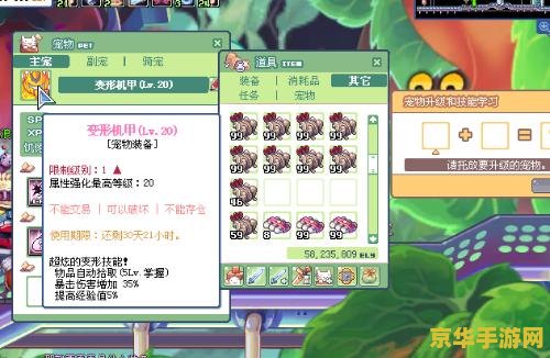 彩虹岛练级路线 彩虹岛练级路线