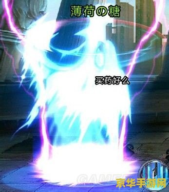 天天炫斗布鲁技能加点 天天炫斗布鲁技能加点攻略