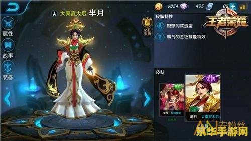 王者荣耀芈月搭配什么技能 王者荣耀芈月技能搭配攻略