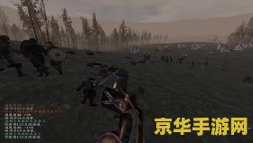 骑马与砍杀魔法世界 奇幻征途：骑马与砍杀魔法世界