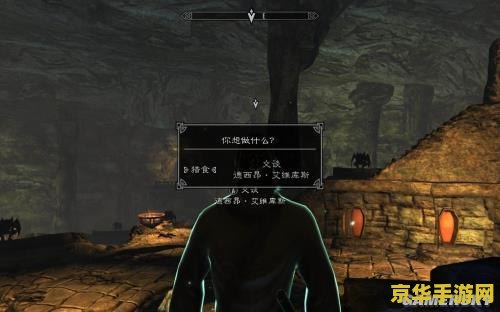 上古卷轴5天际黎明守卫 上古卷轴5：天际黎明守卫深度解析