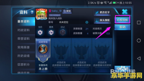 王者荣耀心悦特权是什么意思 王者荣耀心悦特权详解：特权背后的游戏魅力