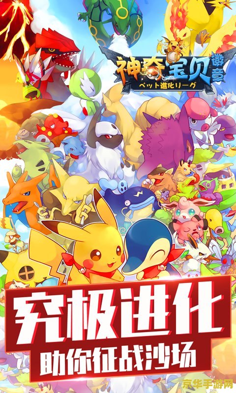 神奇宝贝之百变怪 神奇宝贝之百变怪：探索多变世界的无尽奥秘