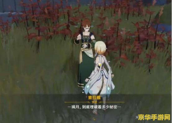 原神宝藏归务 原神宝藏归务
