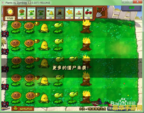 植物大战僵尸生存模式 植物大战僵尸：生存模式的策略与挑战
