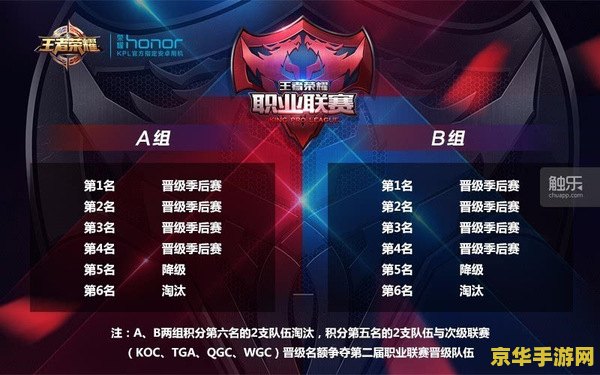参加王者荣耀职业联赛需要什么 王者荣耀职业联赛参赛指南