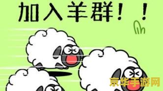 羊了个羊是什么 羊了个羊：火爆全网的休闲小游戏解析