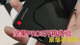 王者荣耀ipad怎么语音 王者荣耀iPad版：如何开启语音功能，提升游戏体验