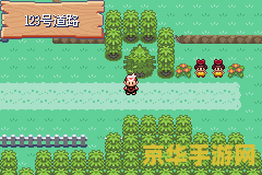 口袋妖怪梦世界 口袋妖怪梦世界：探索无尽的妖怪奇遇