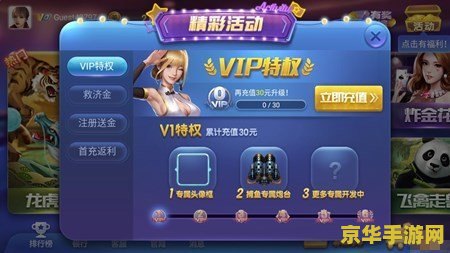 盛大易宝 盛大易宝：探索游戏世界的无限可能