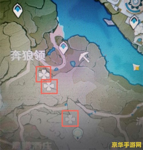 原神松果在什么地方采集最好 原神松果采集地点推荐