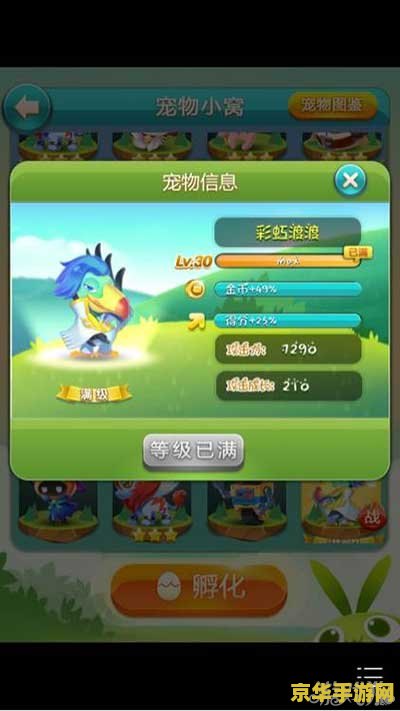 彩虹岛灵宠升级 彩虹岛灵宠升级攻略：探索宠物成长之路
