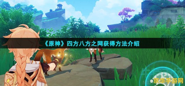 原神四方八方之网哪里买 原神四方八方之网购买指南及游戏内相关解析
