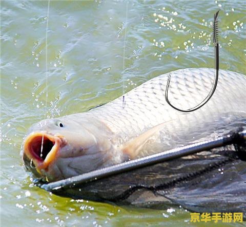 原神钓一条鱼要多长时间 原神钓鱼攻略：探索水域，享受垂钓的乐趣