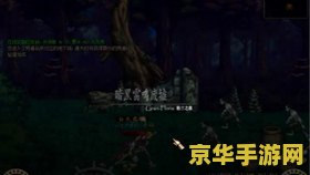 英雄联盟冰心是什么样子的 英雄联盟中的冰心：守护与冷静的象征