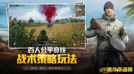 和平精英手游慧云及圣 和平精英手游：慧云与圣的战术博弈