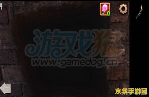 黑狱攻略 黑狱求生：攻略与策略