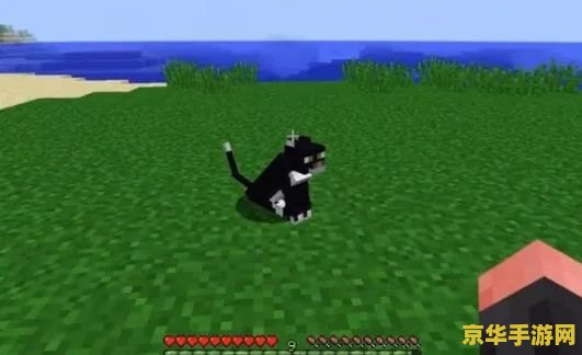 我的世界豹猫怎么驯服 我的世界豹猫驯服指南