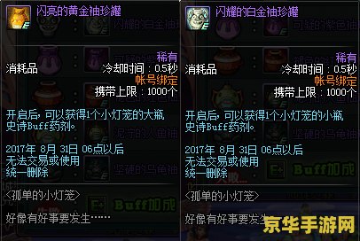 dnf小灯笼的好朋友 dnf小灯笼的好朋友：共同冒险的伙伴