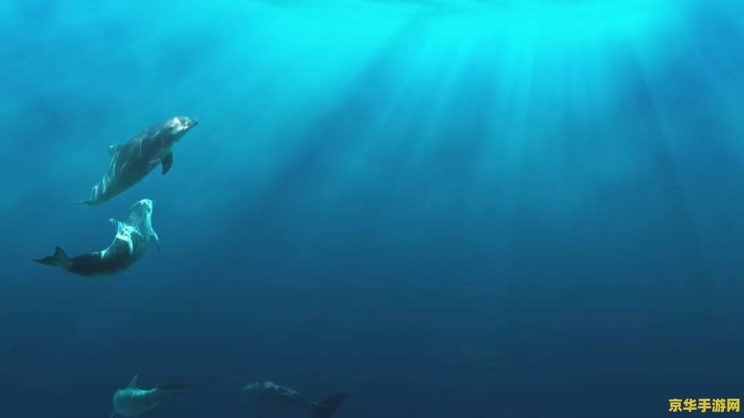 海底世界动态桌面壁纸 &lt;h3&gt;探索神秘海底世界，动态桌面壁纸带你领略海洋之美&lt;/h3&gt;