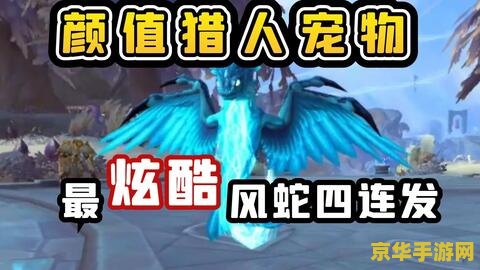 魔兽世界猎人宠物大全 魔兽世界猎人宠物大全