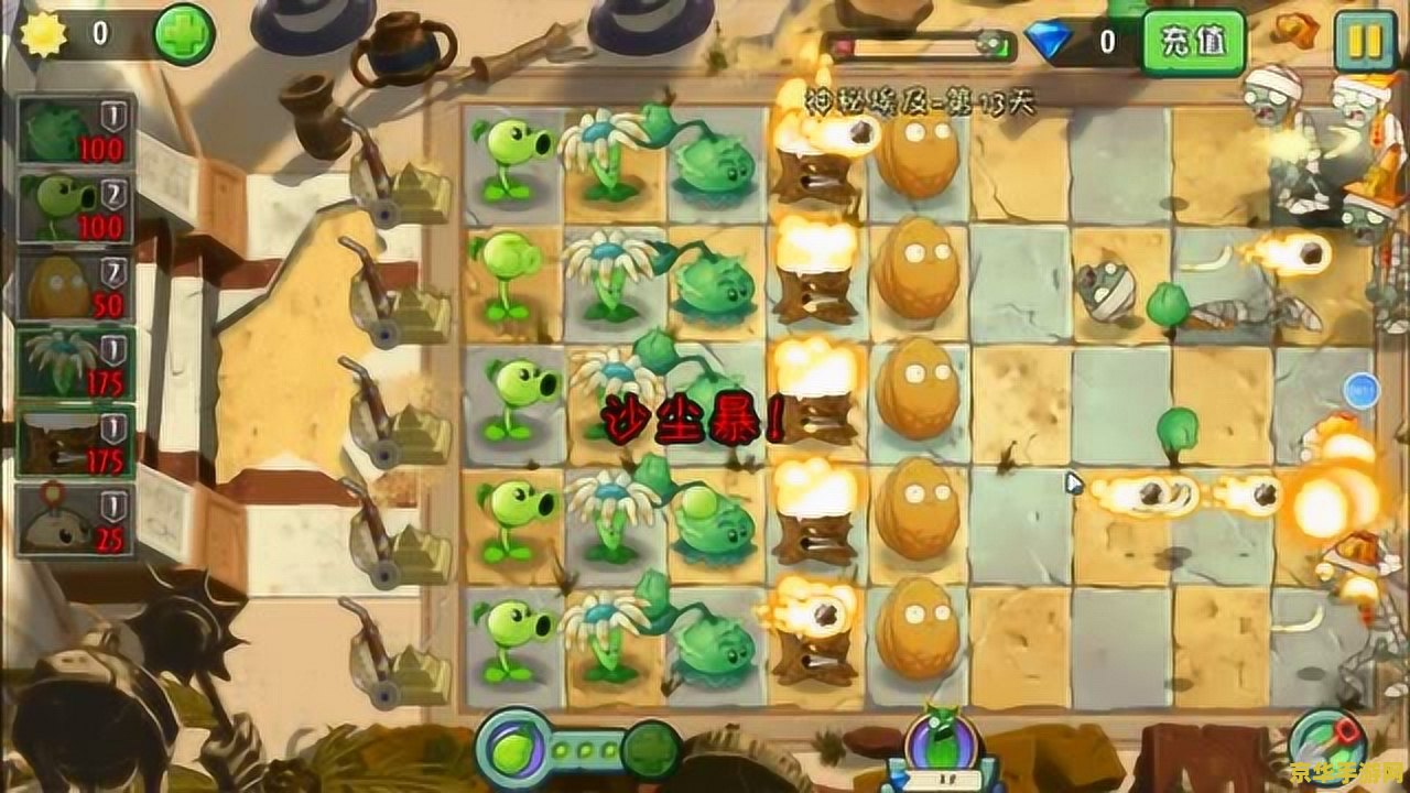 植物大战僵尸花园战争 植物大战僵尸：花园战争——绿色防线与僵尸入侵