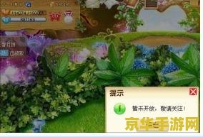 玫瑰小镇神秘的魔杖 玫瑰小镇：魔杖之谜