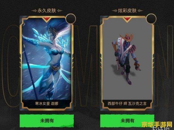 小说英雄联盟之冠军拼图 英雄联盟：冠军之路的拼图