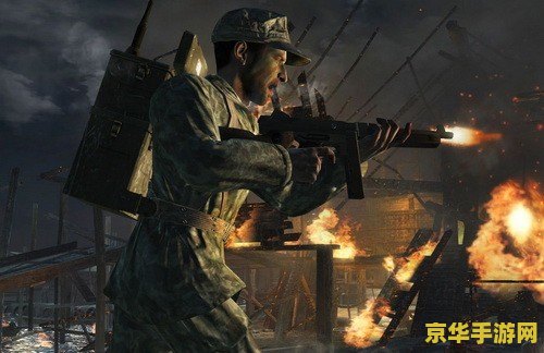 使命召唤5 僵尸 使命召唤5：僵尸模式深度解析