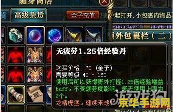 御龙在天65级挂机点 御龙在天65级挂机点推荐与攻略