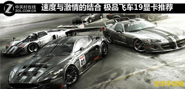 极品飞车19 极品飞车19：速度与激情的再度燃烧