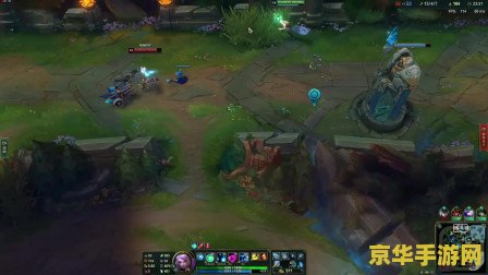 lol狐狸 LOL狐狸：魅力与策略并存的神秘角色