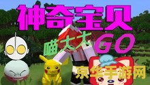 宠物小精灵电脑游戏 宠物小精灵大冒险