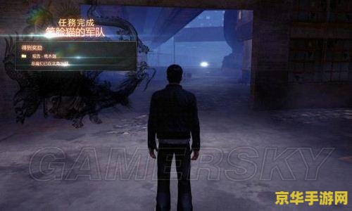 热血无赖dlc 热血无赖DLC深度解析：扩展内容的多维度魅力
