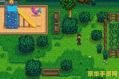 问道刷星表 问道星表攻略：探索星辰，挑战极限