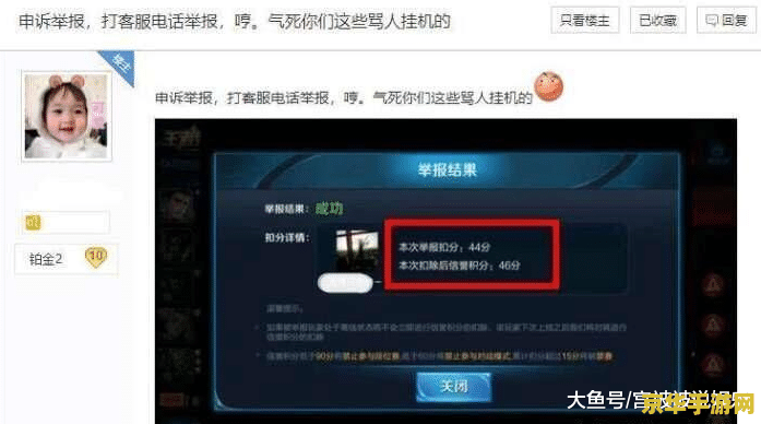 王者荣耀怎么投诉挂机 王者荣耀中挂机行为的投诉与应对