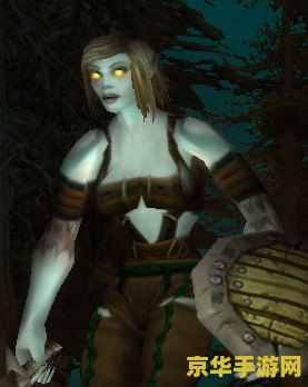 wow改模型 魔兽世界：模型改造的艺术与技巧