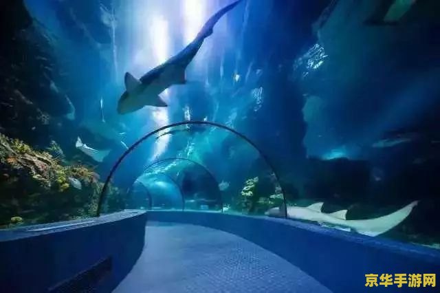 原神水下行走 原神水下行走：探索深海的神秘之旅