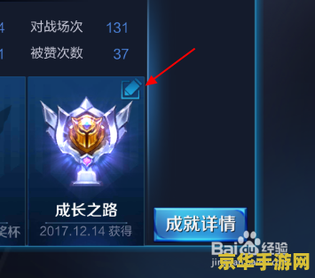 王者荣耀怎么升级成就 王者荣耀成就系统升级攻略 王者荣耀怎么升级成就 王者荣耀成就系统升级攻略