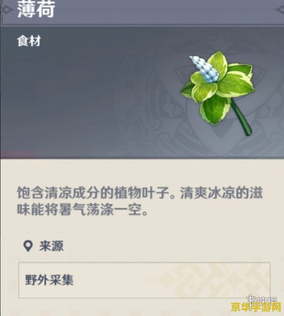 原神薄荷哪里买 原神中的薄荷：探索与交易的奇妙之旅