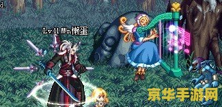 dnf妖精的尾巴宠物 DNF妖精的尾巴宠物：奇幻冒险的新篇章