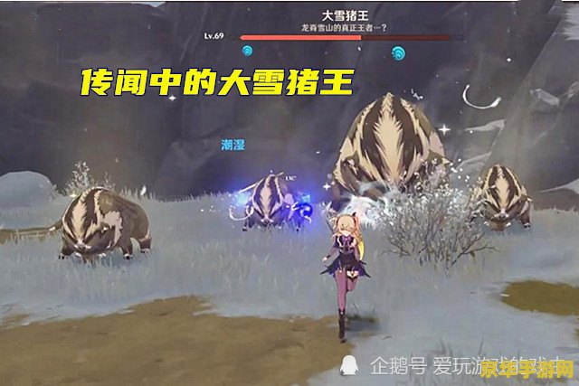 真野猪攻略 真野猪攻略：探索神秘副本，揭秘野猪王的终极挑战
