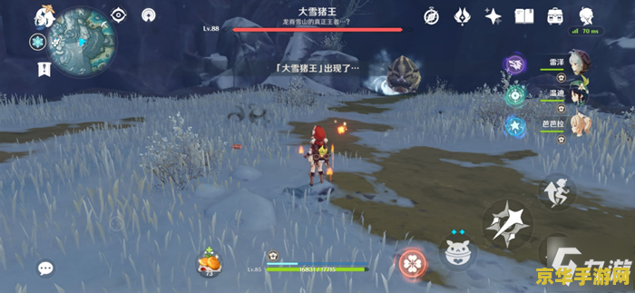 真野猪攻略 真野猪攻略：探索神秘副本，揭秘野猪王的终极挑战