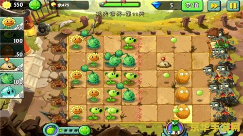 植物大战僵尸秘籍无限阳光 植物大战僵尸：阳光无限的秘籍与策略