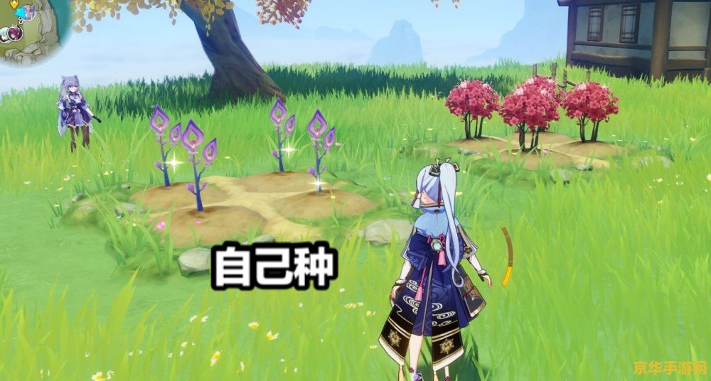 原神里的小草神 原神中的小草神：探索神秘的自然之力