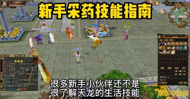 天龙八部静心草 天龙八部中的静心草：探索游戏中的神秘草药