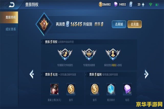 王者荣耀怎么成为贵族5 王者荣耀如何晋升贵族5：荣耀之路的秘诀