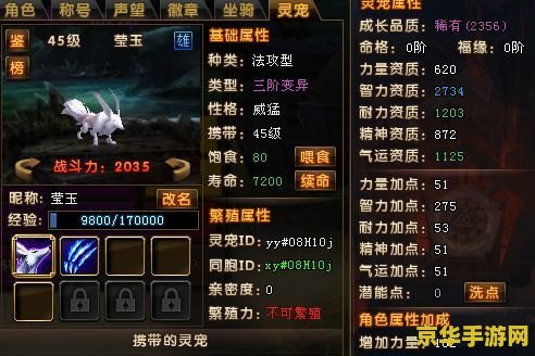 轩辕传奇怎么赚rmb 轩辕传奇赚钱攻略：从游戏到RMB的转化之路